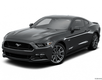 Ford Mustang Gray